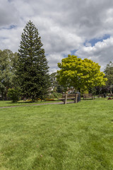 Public Park Gardens In Summer
