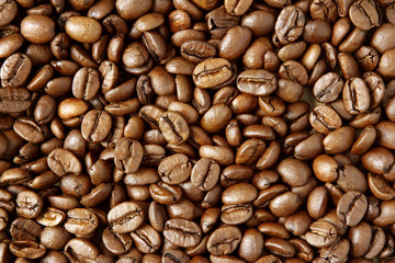 Roasted coffee beans