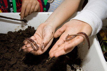 Regenwürmer in Kinderhand © Bernd Kröger