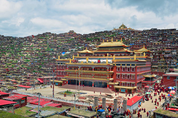 Monk houses at  Lharong Monastery in eastern Tibet,China - obrazy, fototapety, plakaty