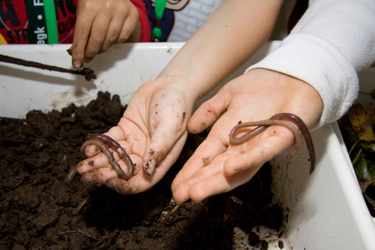 Regenw&uuml;rmer in Kinderhand