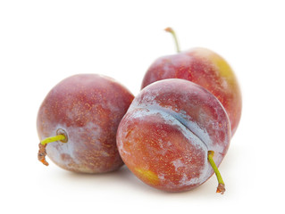 Plum fruit isolated