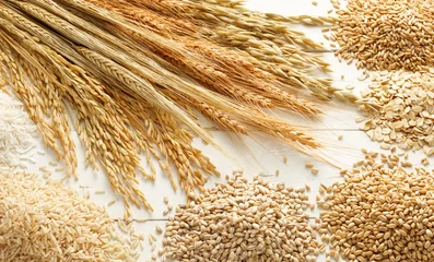 Plexiglas foto achterwand cereals and grains © Okea
