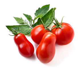 Reife Tomaten und Blätter auf weiß