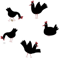 Black chicken. Vector