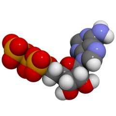 adenosine triphosphate (ATP) molecule - chemical structure