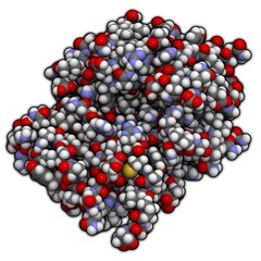 Ricin vaccine molecule - chemical structure