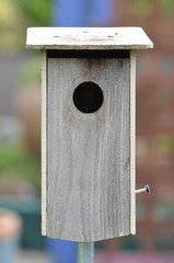 Bird House