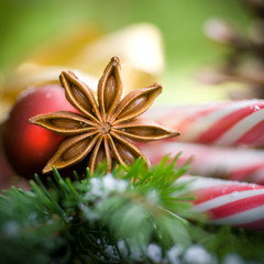 Weihnachtszeit, Sternanis © Christian Jung