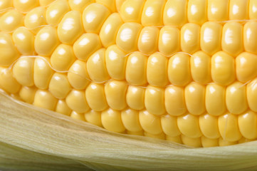 Corn