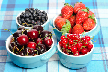 Wild berries in bowls