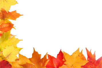 Autumn Leaf Border