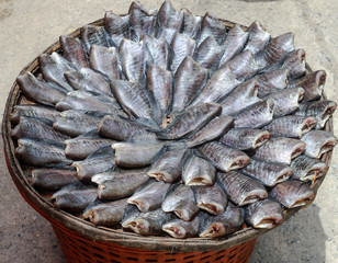 Dry out salty fish ( trichogaster pectoralis )