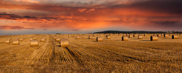 Hay bales and twilight sky - panoramic view