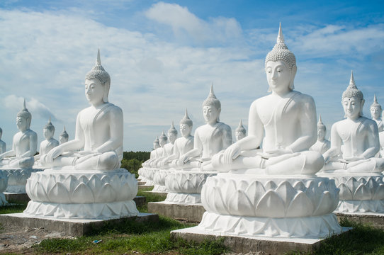 lot of Buddha Statue