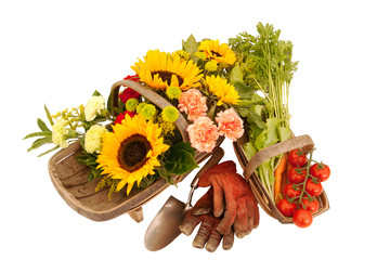Floral & vegetable collection