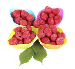 Fresh raspberries in silicone molds isolated on white