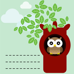 owl in tree trunk
