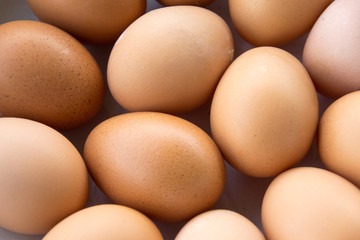 fresh brown eggs
