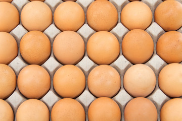Group of fresh eggs in pater