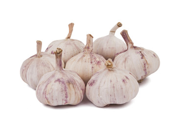 garlic isolated