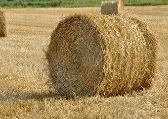 Ballot de paille fond