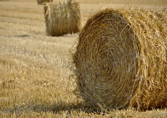 Ballot de paille fond