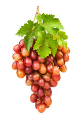 red grape
