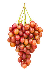 red grape