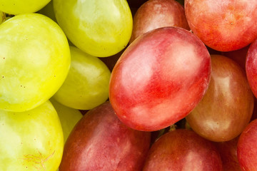 red green grape