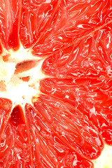 Red grapefruit close-up macro shot