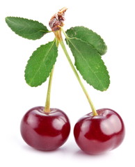 Cherries with leaves on a white background.