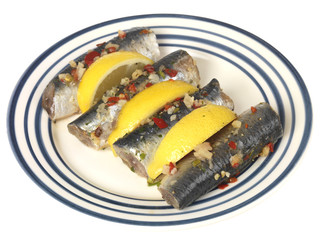 Fresh Sardines