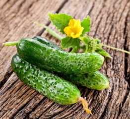 Cucumbers with leaves