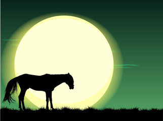 Silhouette of horse in field under full moon at night
