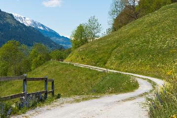 Road in landscape