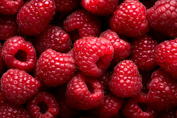 Raspberry fruit background