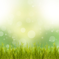 Fototapeta na wymiar Natural green background with grass