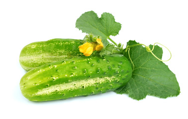 Cucumbers with leaves