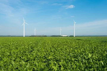 Crédence de cuisine en verre imprimé Été Wind turbines in the countryside in summer