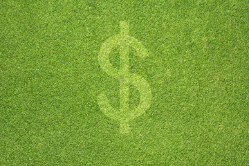 Money icon on green grass texture and  background - 44086166