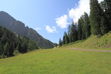 Sentiero per San Martino di Castrozza