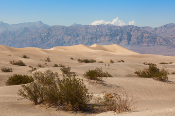 Fototapeta na wymiar Wydmy w Death Valley National Park, California