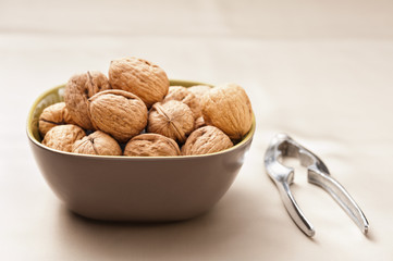 Walnut in a bowl with nutcracker