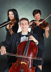 Musical concert