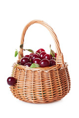 Ripe cherries in a wattled basket