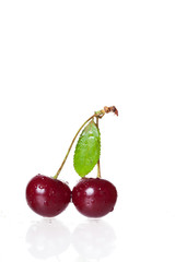 Fototapeta na wymiar Two cherry berries isolated on white background