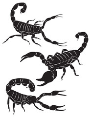 scorpion