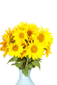 Big bouquet of sunflowers in a jug on a white background