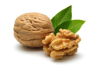 walnut and leaves - 44092750